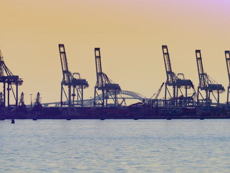 Adani Fuel and FMS Feature Image