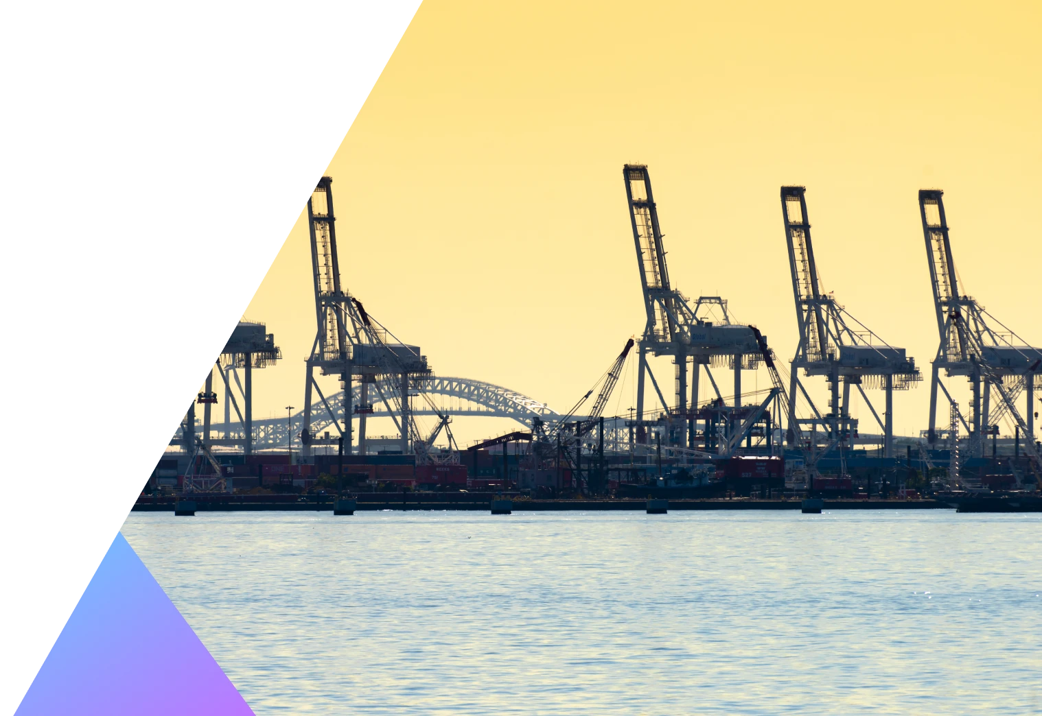Adani Fuel and FMS hero banner