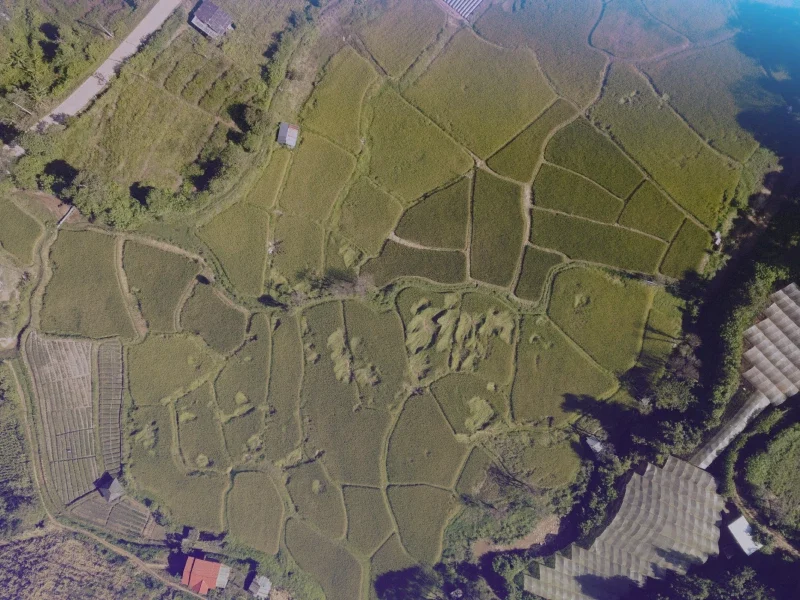 gujarat agri feature image