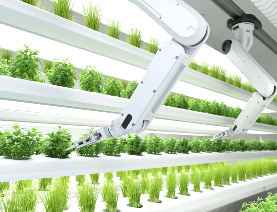 madhya pradesh agri amnex solutions