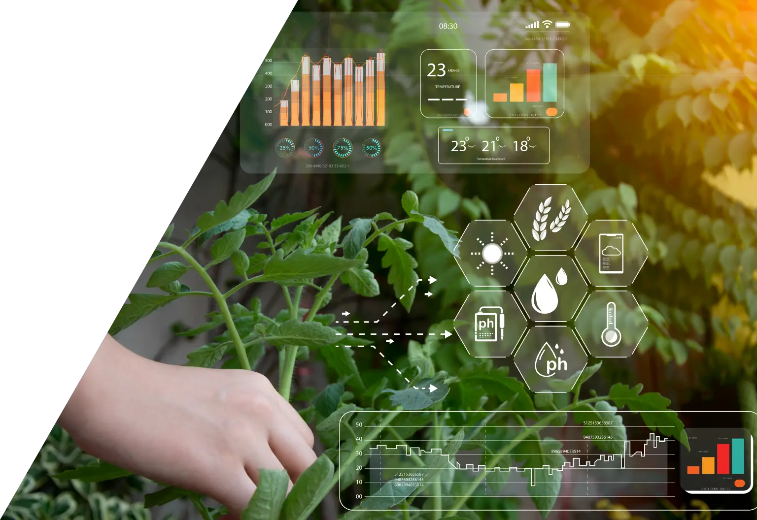 Blog agriculture