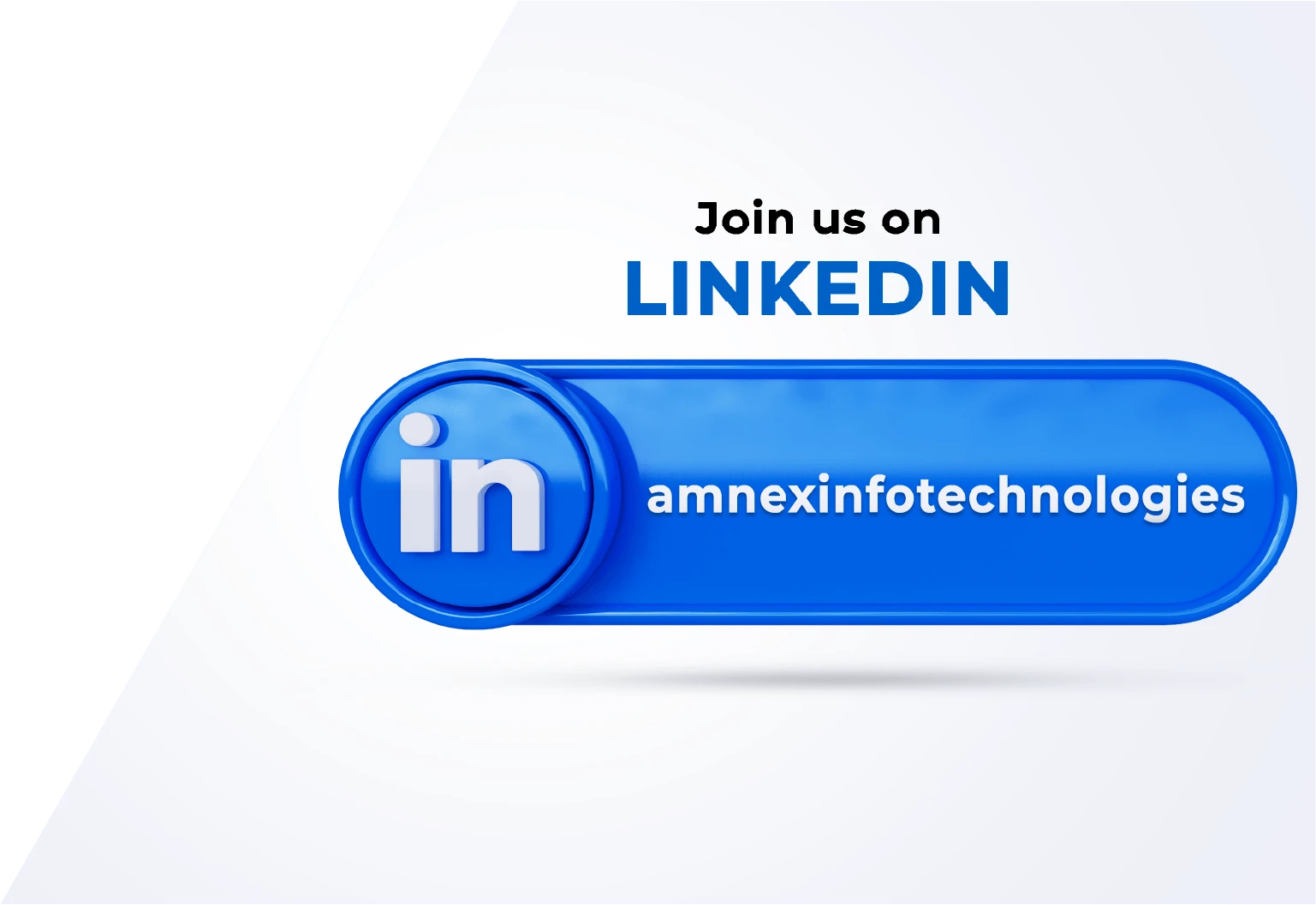 Amnex Linkedin