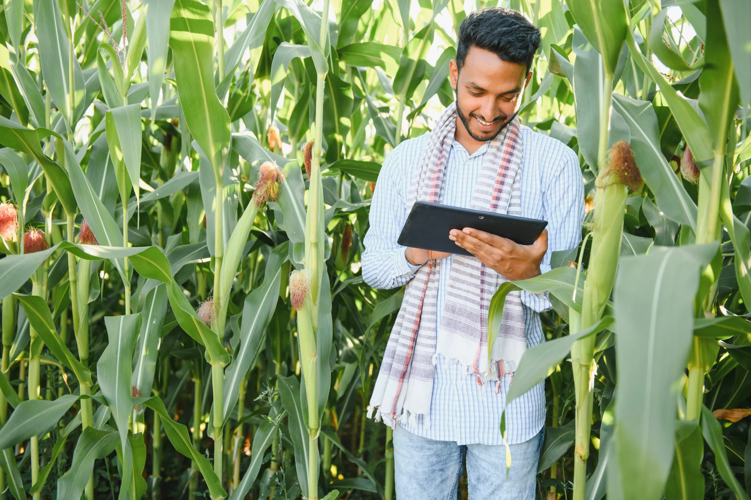 Indian Farmer