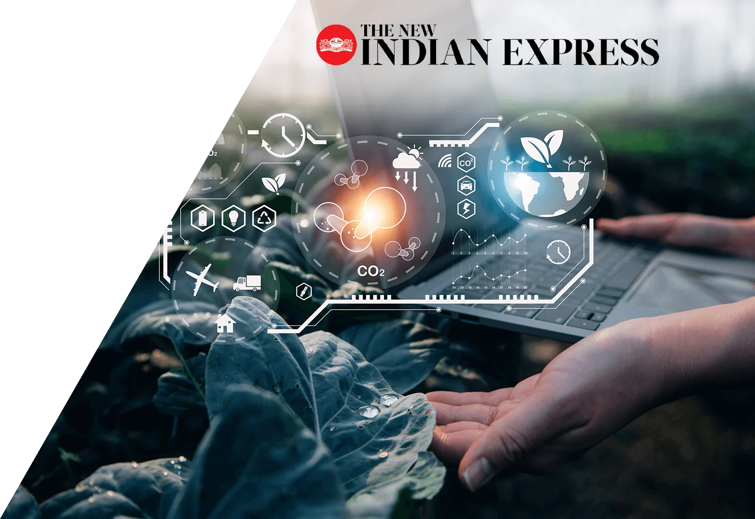 AI in agriculture