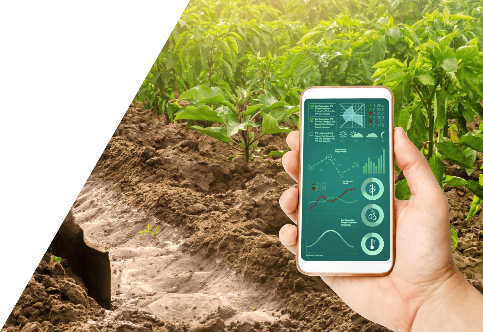 Foresight for Every Farmer